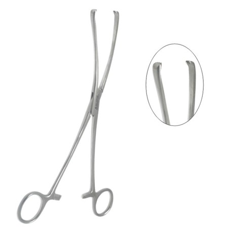Gebogen Teales Vulsellum tang