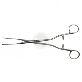Tampontang Sims-Maier