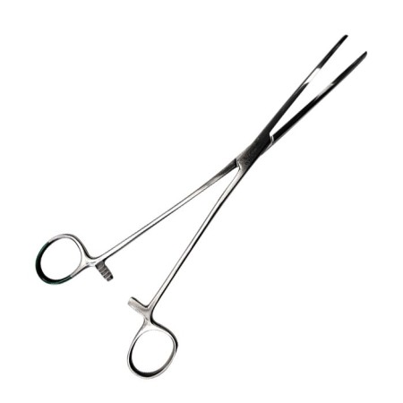 Bozemann tampontang